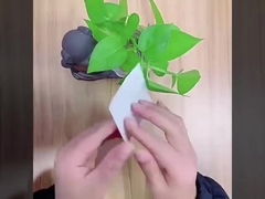 আধা-স্বচ্ছ ইলাস্টিক ফিল্ম ড্রেসিং